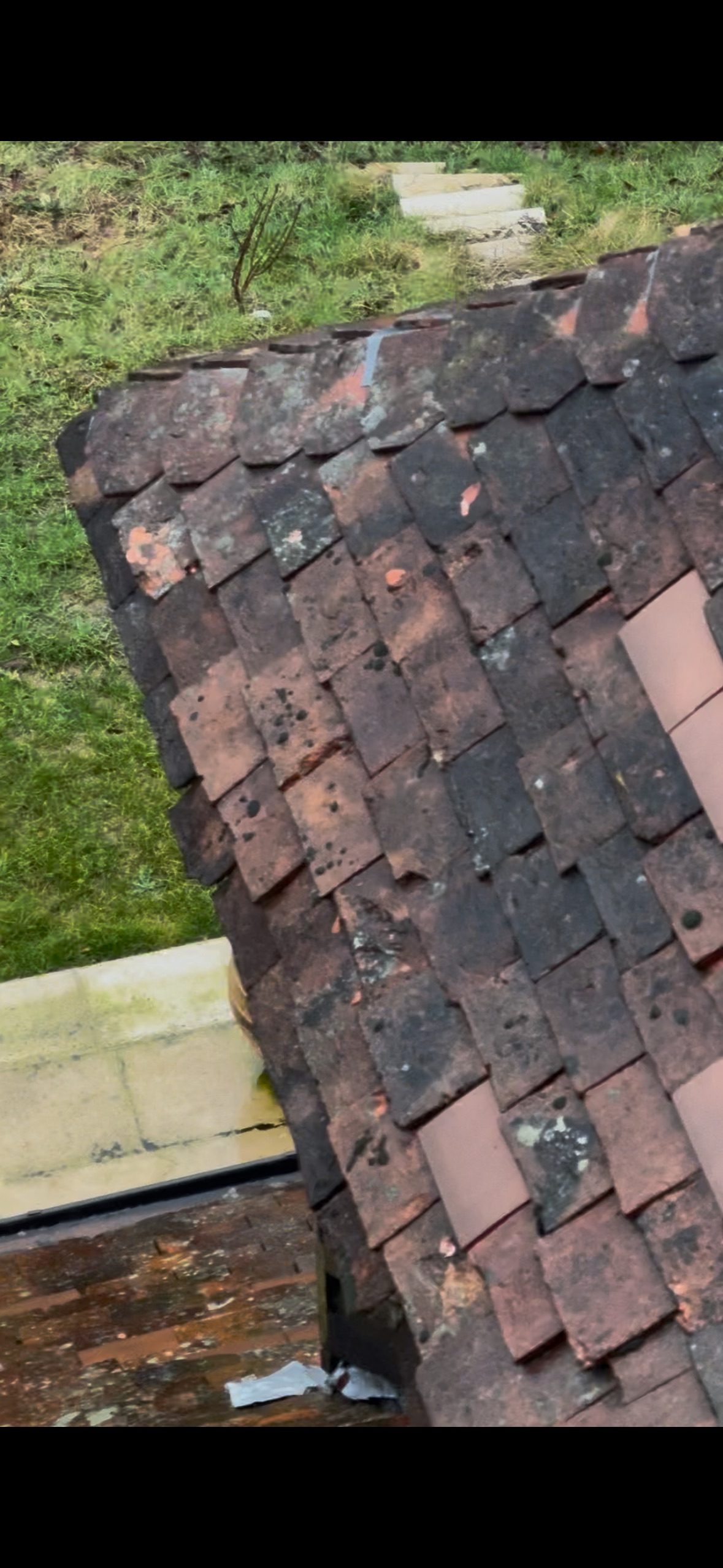 Couverture encrassée avant démoussage, chantier mené par Les Couvreurs Belges